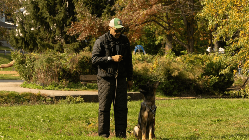 Hugo Dantas - Tanattus k9 - Dog Spa and Training School